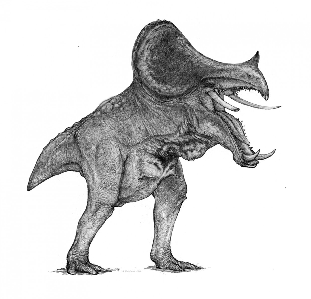 Kagouti