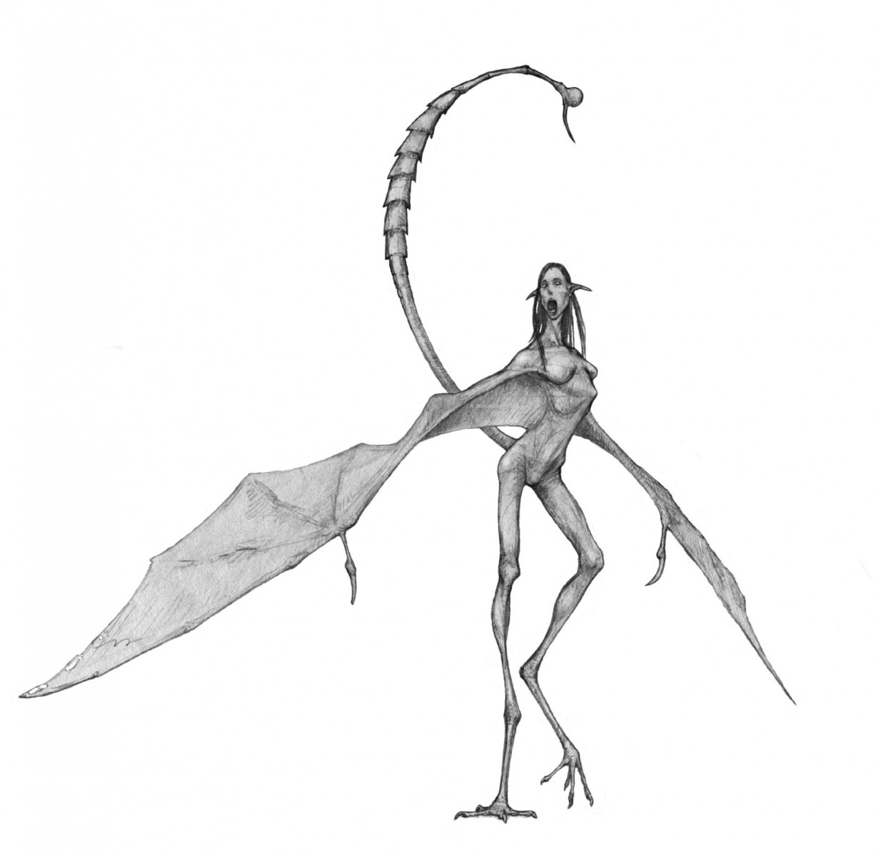 Winged Twilight