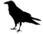 Nightraven's picture
