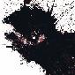 dividious's picture
