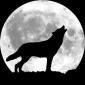 DavidWolf's picture
