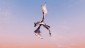 marcodekretser's picture