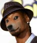 Snoop Doge's picture