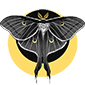 TheTreeOfMight's picture