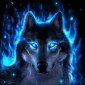 SilverHuskey's picture