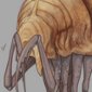 Big_Bug's picture