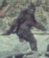 bigfoot343's picture