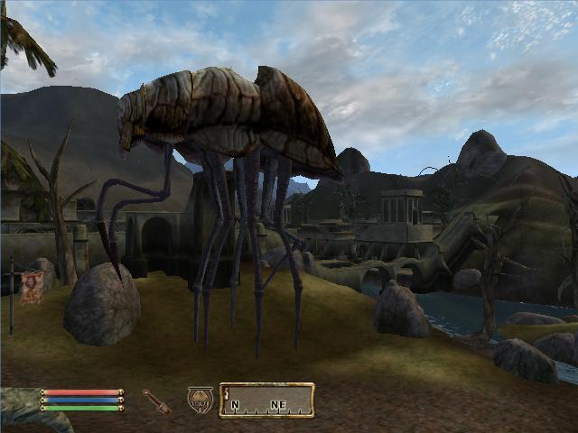 siltstrider.JPG