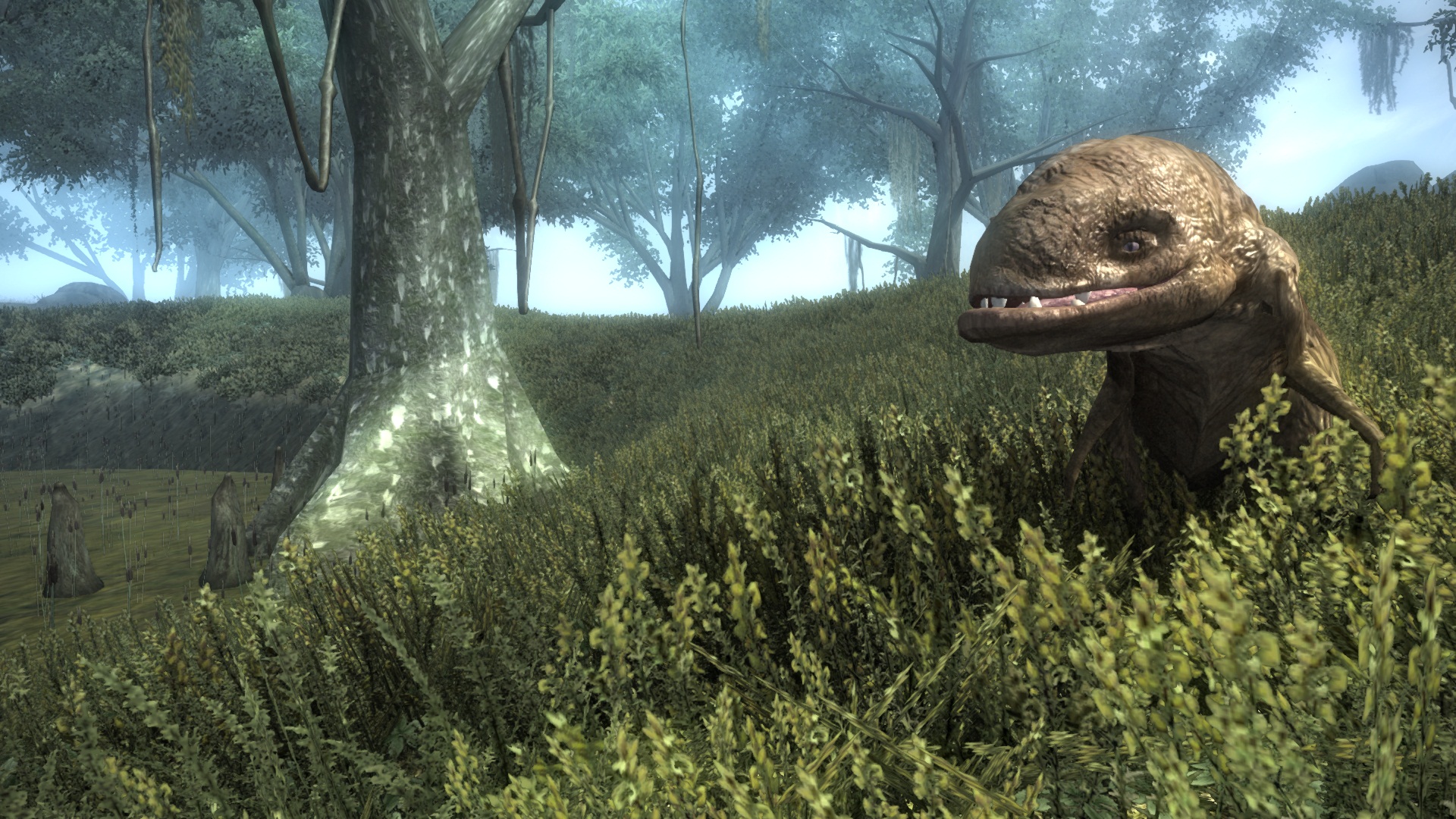 Tame Guar