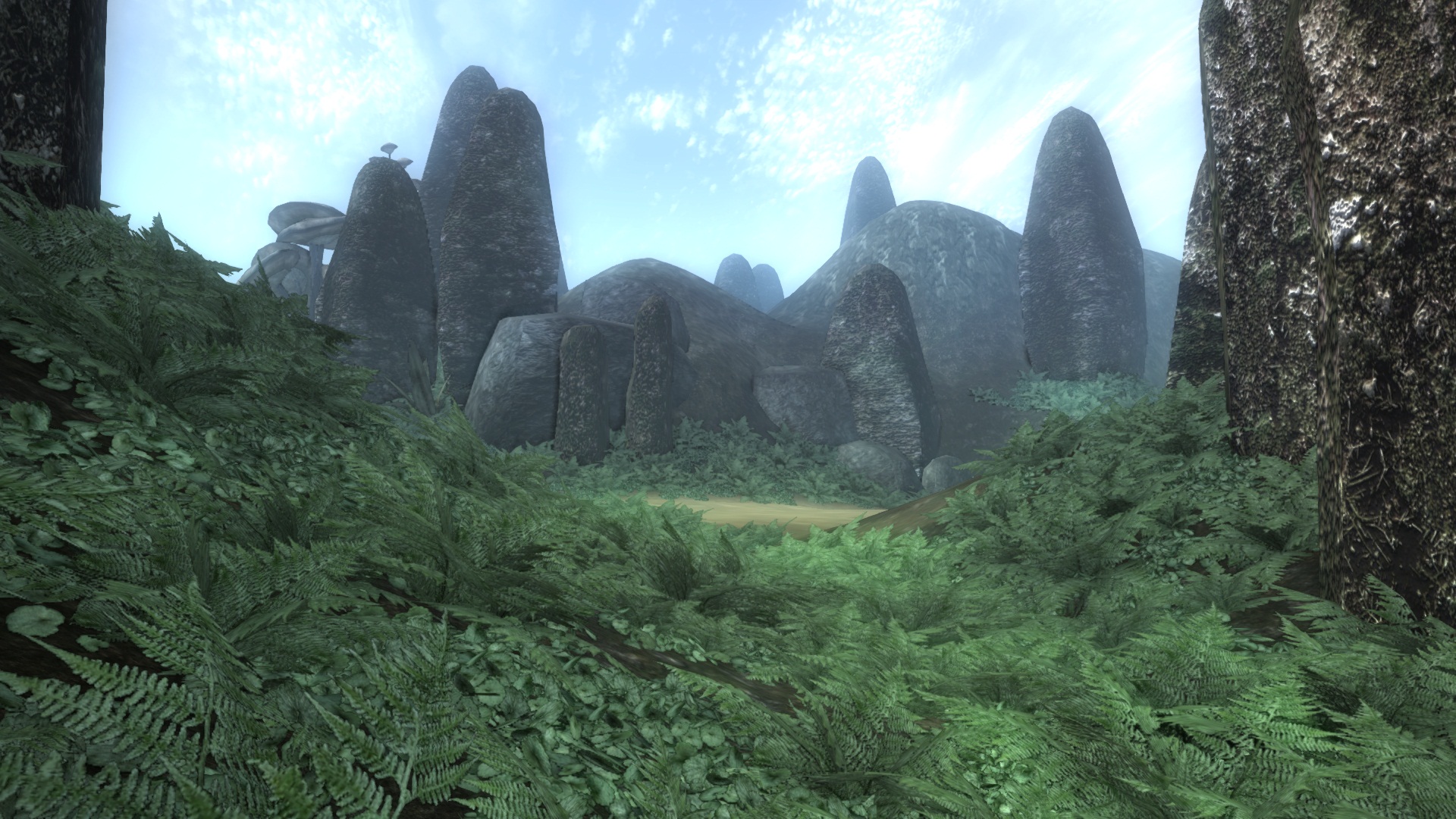 Sheogorad Ferns