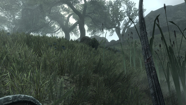 Nix Hound at the Bitter Coast