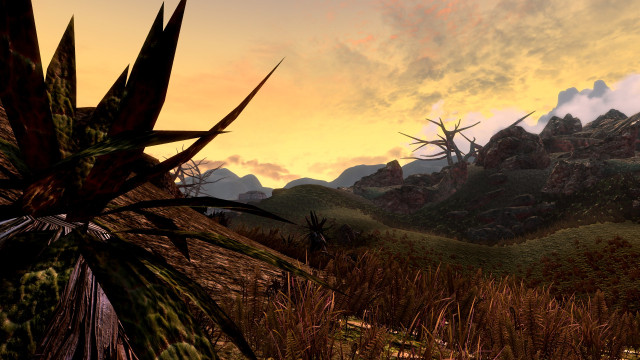 Sun Rise at the Grazelands