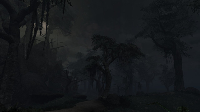 Bitter Coast Seyda Neen