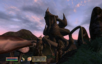 Tel Mora