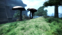 Vivec Foreign Quarter Entrance