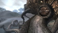 Mushroom Pod Near Vos