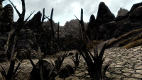 Molag Amur Alpha - Camp
