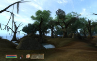 Bitter Coast Region